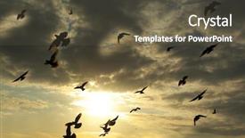  Presentation with element - Presentation having faith dove - birds in sky element background and a  colored foreground