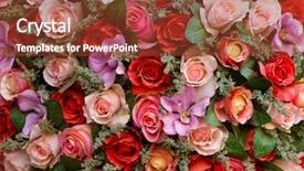  Presentation with orchids - Theme with fake colorful roses and orchids bunch background background and a tawny brown colored foreground