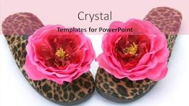 Presentation with plastic - Audience pleasing presentation theme consisting of fake fur bedroom slippers with plastic flowers isolated backdrop and a coral colored foreground