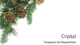  Presentation with fake reviews - Audience pleasing presentation theme consisting of fake pine tree with spac backdrop and a white colored foreground