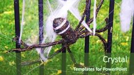  Presentation with spider - Audience pleasing slide deck consisting of spidervenom - fake spider on a metal backdrop and a tawny brown colored foreground