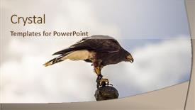  Presentation with rizal in spain - Slide deck having falcon climbed to the tip background and a lemonade colored foreground