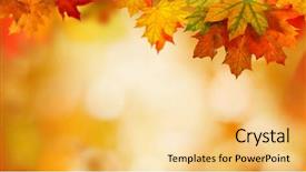  Presentation with maple leaves - Slide deck featuring fall - autumn background with maple leaves background and a blonde colored foreground