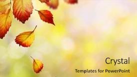  Presentation with fall - Presentation with fall - autumn background background and a yellow colored foreground