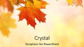  Presentation with autumn - Slide set featuring fall - autumn background background and a blonde colored foreground