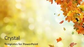 Presentation with autumn - Presentation theme featuring fall - autumn background background and a yellow colored foreground