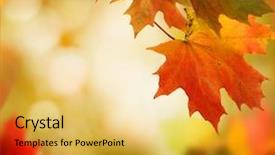  Presentation with autumn - Slide deck consisting of fall - autumn background background and a yellow colored foreground