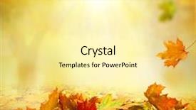  Presentation with fall - Beautiful PPT layouts featuring fall - autumn background backdrop and a blonde colored foreground