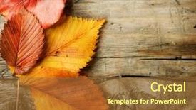  Presentation with autumn leaves - Slide set with fall - autumn leaves over wooden background background and a tawny brown colored foreground