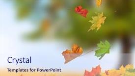  Presentation with autumn leaves - Slide set consisting of fall - autumn leaves background and a sky blue colored foreground