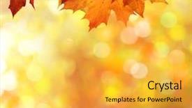  Presentation with fall leaves - Audience pleasing slides consisting of fall - autumn leaves backdrop and a yellow colored foreground