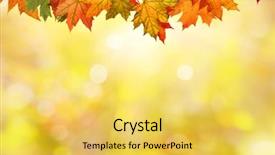  Presentation with autumn leaves - Slide deck enhanced with fall - autumn leaves background and a yellow colored foreground