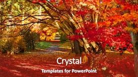 Presentation with fall - PPT theme enhanced with fall - autumn park as nice natural background and a tawny brown colored foreground