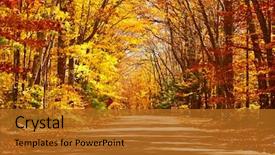  Presentation with forest road - Presentation theme having fall - autumn scene with road background and a gold colored foreground