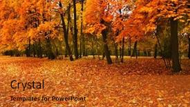  Presentation with trees - PPT layouts enhanced with fall - autumn trees in park background and a gold colored foreground