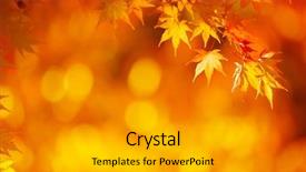  Presentation with maple - Audience pleasing theme consisting of fall - bright orange maple leafs backdrop and a light gray colored foreground