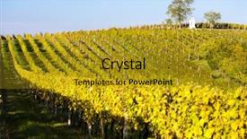  Presentation with torture - Slide deck enhanced with christian fall - god's torture with autumnal vineyard background and a  colored foreground