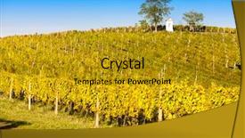  Presentation with torture - Beautiful theme featuring christian fall - god's torture with autumnal vineyard backdrop and a  colored foreground