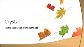  Presentation with autumn leaves - Slide set having fall - isolated autumn leaves background and a white colored foreground