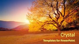  Presentation with hill - Presentation theme enhanced with fall - majestic alone beech tree background and a crimson colored foreground