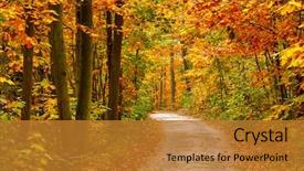  Presentation with pathway - Colorful presentation enhanced with fall - pathway in the colorful autumn backdrop and a gold colored foreground
