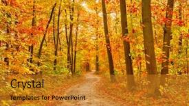  Presentation with pathway - Slides having fall - pathway through the autumn forest background and a gold colored foreground