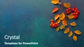  Presentation with dark blue green - Presentation enhanced with fall - two branches of autumn leaves background and a ocean colored foreground