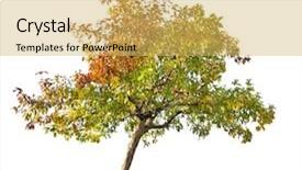  Presentation with fall - Amazing PPT theme having fall apple-tree isolated backdrop and a yellow colored foreground