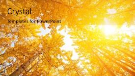  Presentation with kashmir - Beautiful PPT layouts featuring fall aspen trees from low backdrop and a gold colored foreground