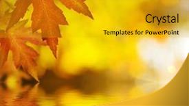  Presentation with fall leaves - Presentation theme consisting of fall autumn background background and a gold colored foreground