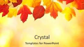  Presentation with fall leaves - Beautiful PPT theme featuring fall autumn leaves background a tree branch with autumn leaves on a blurred background backdrop and a white colored foreground