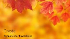  Presentation with fall-leaves - Presentation consisting of fall-autumn-leaves-background and a gold colored foreground