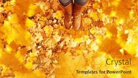  Presentation with fall leaves - Presentation theme having fall-autumn-leaves-legs background and a gold colored foreground