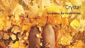  Presentation with fall leaves - Cool new theme with fall autumn leaves legs backdrop and a yellow colored foreground