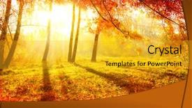  Presentation with fall leaves - PPT layouts having fall autumnal park autumn tree background and a gold colored foreground