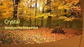  Presentation with fall - Audience pleasing PPT theme consisting of fall background - autumn landscape with beautiful colored backdrop and a  colored foreground