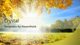  Presentation with multicolored autumn leaves orange yellow red - Slides consisting of fall background - autumn scenery with dry leaves background and a soft green colored foreground