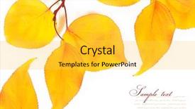  Presentation with autumn leaves - PPT layouts enhanced with fall border - autumn leaves isolated on white background and a  colored foreground