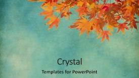  Presentation with fall leaves border autumn - Beautiful presentation featuring fall border - autumn leaves on old paper backdrop and a seafoam green colored foreground