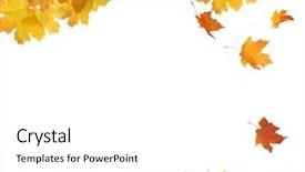  Presentation with autumn leaves - Theme having fall border - isolated autumn leaves background and a  colored foreground
