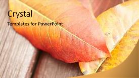  Presentation with fall leaves border autumn - Slide deck featuring fall border - red autumn leaves background and a  colored foreground