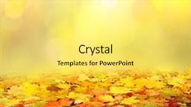  Presentation with fall color - Presentation theme enhanced with fall color frame - autumn background background and a yellow colored foreground