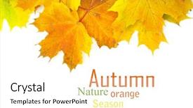  Presentation with maple leaves - Audience pleasing theme consisting of e-business e-commerce business backdrop and a  colored foreground.