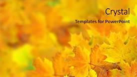  Presentation with green maple leaves - Slides with fall color frame - autumn maple leaves background and a  colored foreground