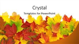  Presentation with fall color - Slide set consisting of fall color frame - colorful autumn leaves isolated background and a  colored foreground