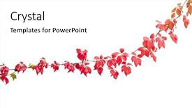  Presentation with beauty beautiful autumn in japanese - Colorful PPT layouts enhanced with fall color frame - isolated beautiful autumn red wine backdrop and a  colored foreground