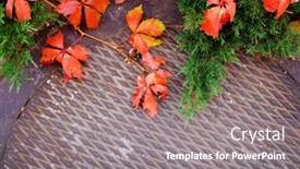 Presentation with iron - Slide set featuring fall-colored-plants-on-iron background and a gray colored foreground
