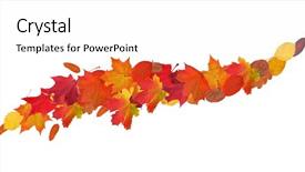  Presentation with bright white - Cool new slides with fall oak - bright autumn leaves curl isolated backdrop and a white colored foreground
