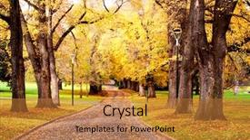  Presentation with fall colors - Slide deck enhanced with fall colors glorious golden elm trees in a park with a road winding through it background and a gold colored foreground