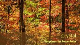  Presentation with asheville - PPT layouts with fall-colors-in-the-forest background and a tawny brown colored foreground